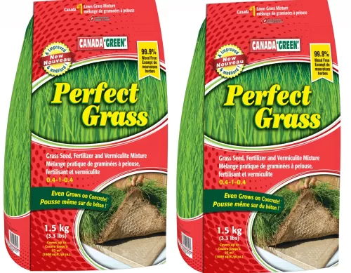 CG Perfect Grass Plus 3kg