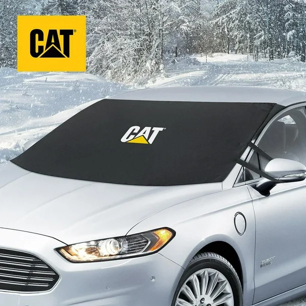 CAFG 200 BK On Car