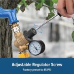 Camco Adjustable Brass Water Pressure Regulator4