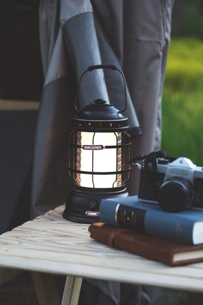 Barebones Rechargeable Forest Lantern – Antique Bronze4