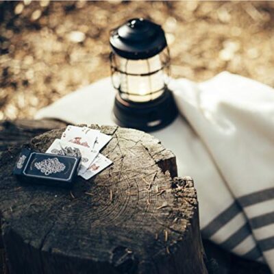 Barebones Rechargeable Forest Lantern – Antique Bronze6