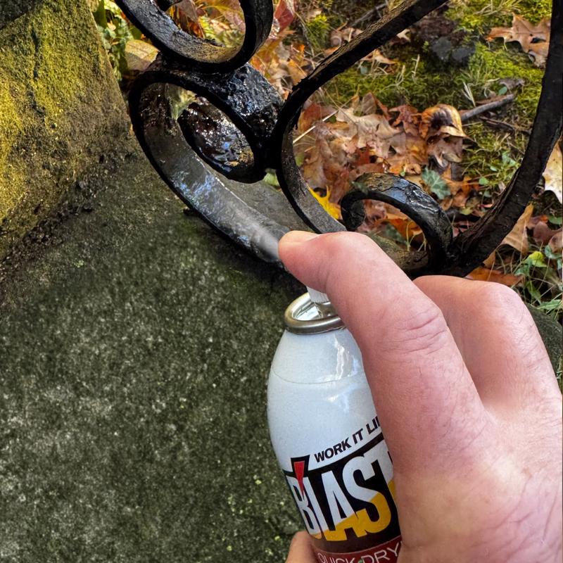 B’laster Rust Neutralizer – 311g2