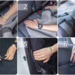 guide