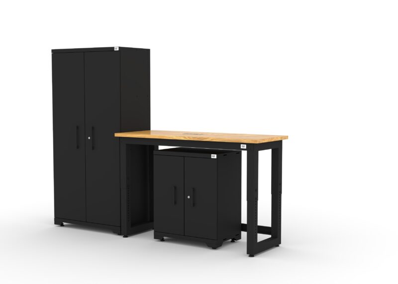 CAT garage storage cabinet set with 1 locker, 1 base cabinet and 48 inch worktop