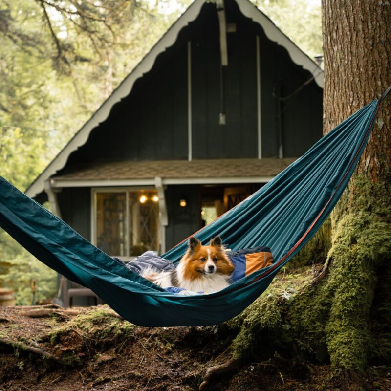 Grand Trunk TRUNKTECH Double Hammock