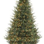 Monarch 7.5 ft Georgian Fir Christmas Tree