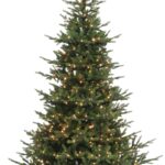 Monarch 6.5 ft Killbear Fir Pre-Lit Christmas Tree, 450 Warm White LED Lights, 53"