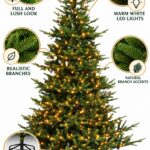 Monarch 6.5 ft Killbear Fir Pre-Lit Christmas Tree, 450 Warm White LED Lights, 53"
