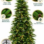 Monarch 9 ft Acadia Fir Pre-Lit Tree with Pinecones, 900 LEDs